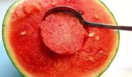 娱乐吃瓜酱美玉视频大全