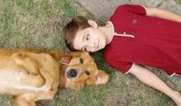 娱乐吃瓜君狗狗,揭秘娱乐圈宠物的趣味生活