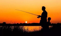 娱乐吃瓜钓鱼视频大全下载