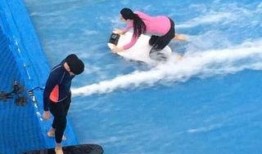 娱乐冲浪吃瓜社,明星幕后故事大曝光！