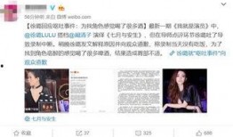 娱乐吃瓜酱侵权事件视频,视频揭露网络版权争议风云