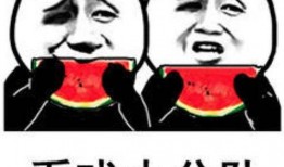 娱乐吃瓜群众,揭秘明星幕后故事，吃瓜群众狂欢时刻