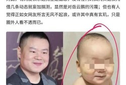 女大学生娱乐圈吃瓜小说,女大学生娱乐圈的甜蜜瓜田