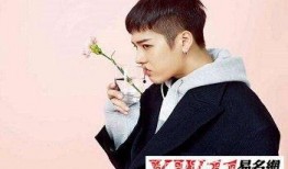 娱乐吃瓜网名男生名字,揭秘明星男星们的瓜田秘事