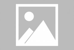 娱乐吃瓜app,娱乐吃瓜APP带你畅游八卦海洋