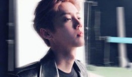 娱乐圈吃瓜鹿晗,揭秘明星背后的“吃瓜”故事