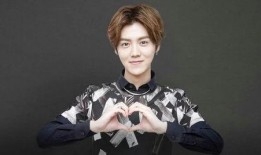 娱乐圈吃瓜猛料鹿晗小说,揭秘明星背后的秘密与激情