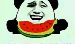 娱乐吃瓜酱我的状态,揭秘我的生活状态与趣味瞬间