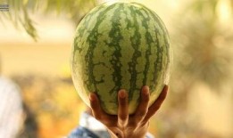 娱乐圈可以吃瓜,揭秘明星幕后故事，一起吃瓜！