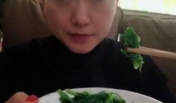 娱乐吃瓜009老燕子,揭秘老燕子背后的故事与传奇