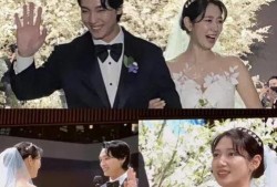 娱乐圈吃瓜爆料陈赫,揭秘背后的真相与争议