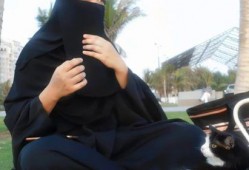 娱乐吃瓜君打架,一场意外的街头打架事件