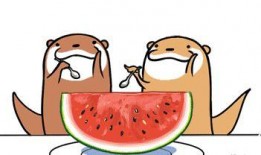 娱乐吃瓜蜀黍广告语,揭秘娱乐圈那些事儿