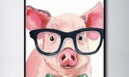 猪头娱乐吃瓜,揭秘娱乐圈背后的那些事儿