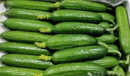 吃瓜娱乐间溜溜梅,溜溜梅带你品味酸甜人生