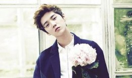 娱乐圈吃瓜猛料鹿晗小说,揭秘明星背后的秘密与激情