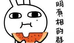 逗尔娱乐吃瓜看点,揭秘娱乐圈最新吃瓜看点，带你领略明星幕后故事